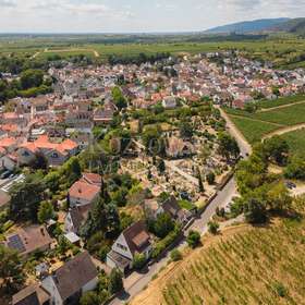 Deidesheim