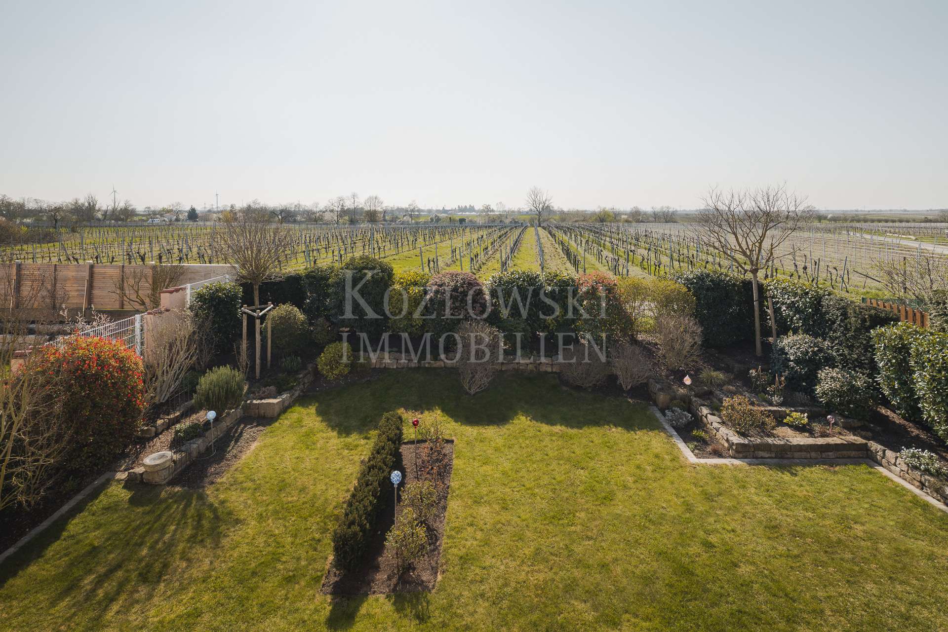 Blick in die Weinberge