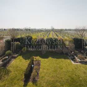 Blick in die Weinberge