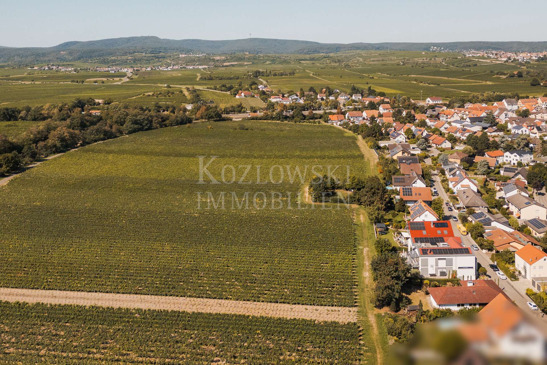 Ortsrandlage Freinsheim