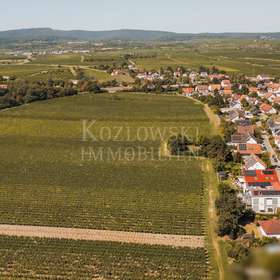 Ortsrandlage Freinsheim
