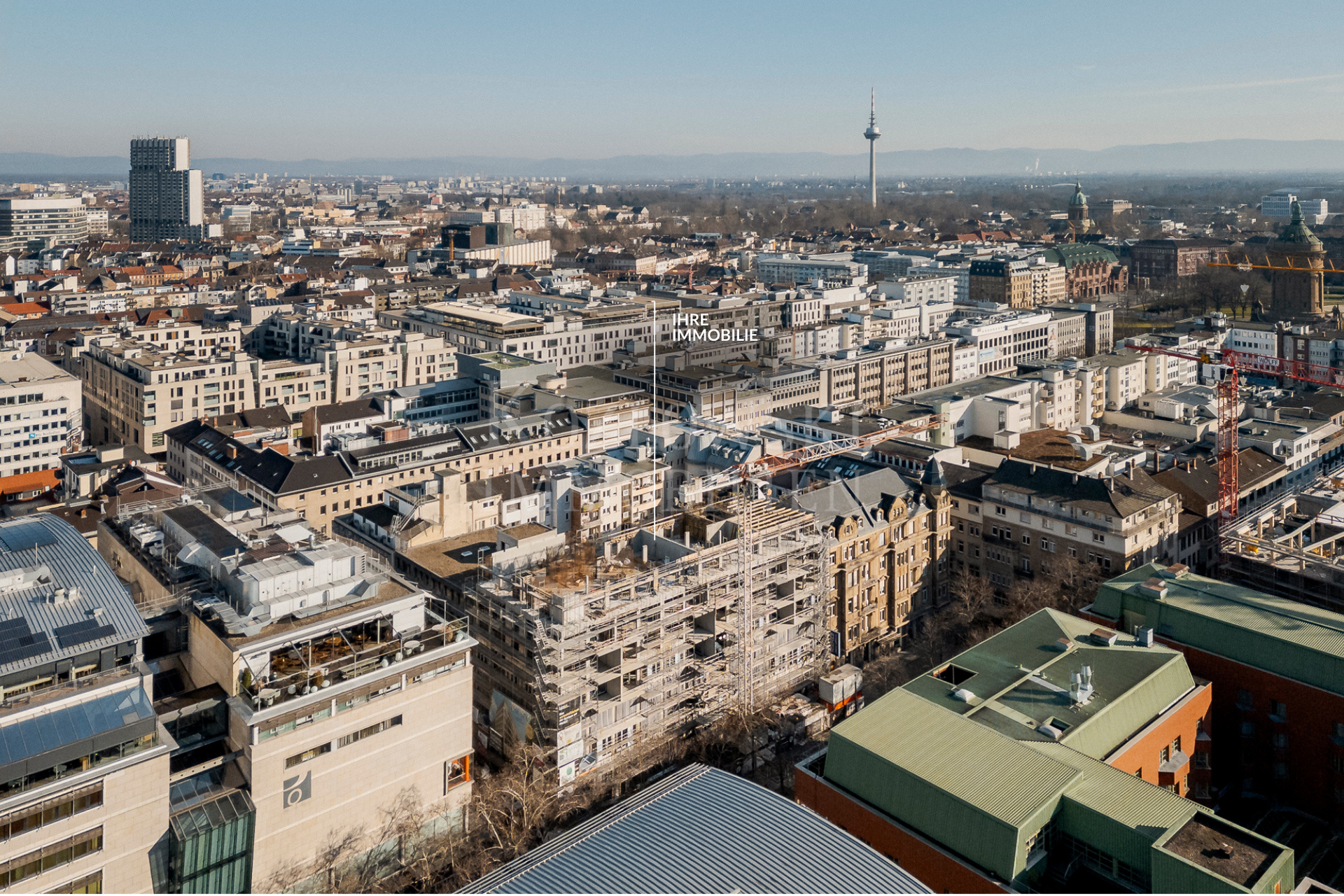 Bautenstand Februar