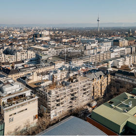Bautenstand Februar