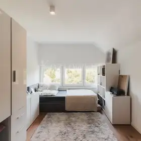 Zimmer III