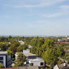 Pfalzblick