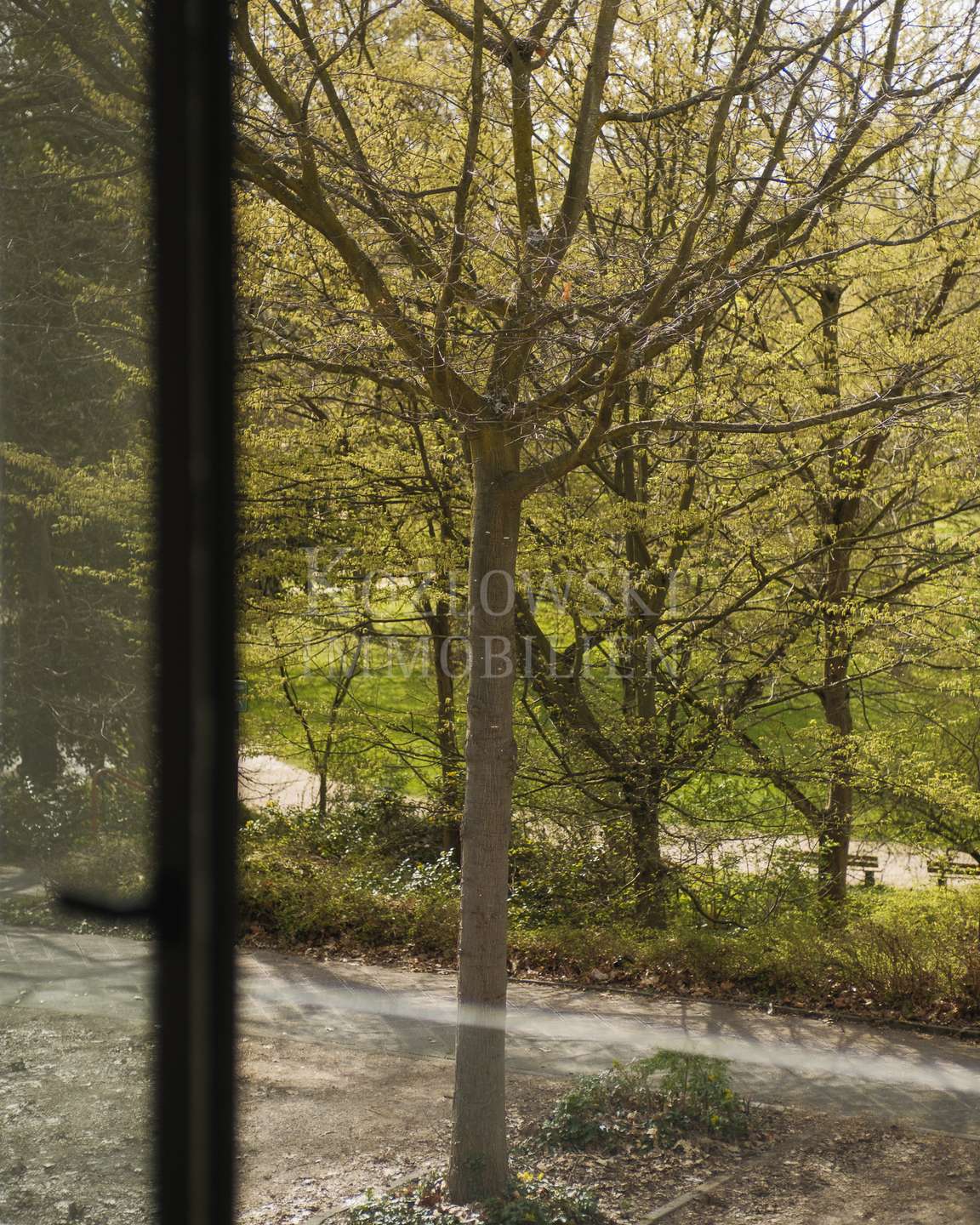 Parkblick