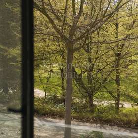 Parkblick