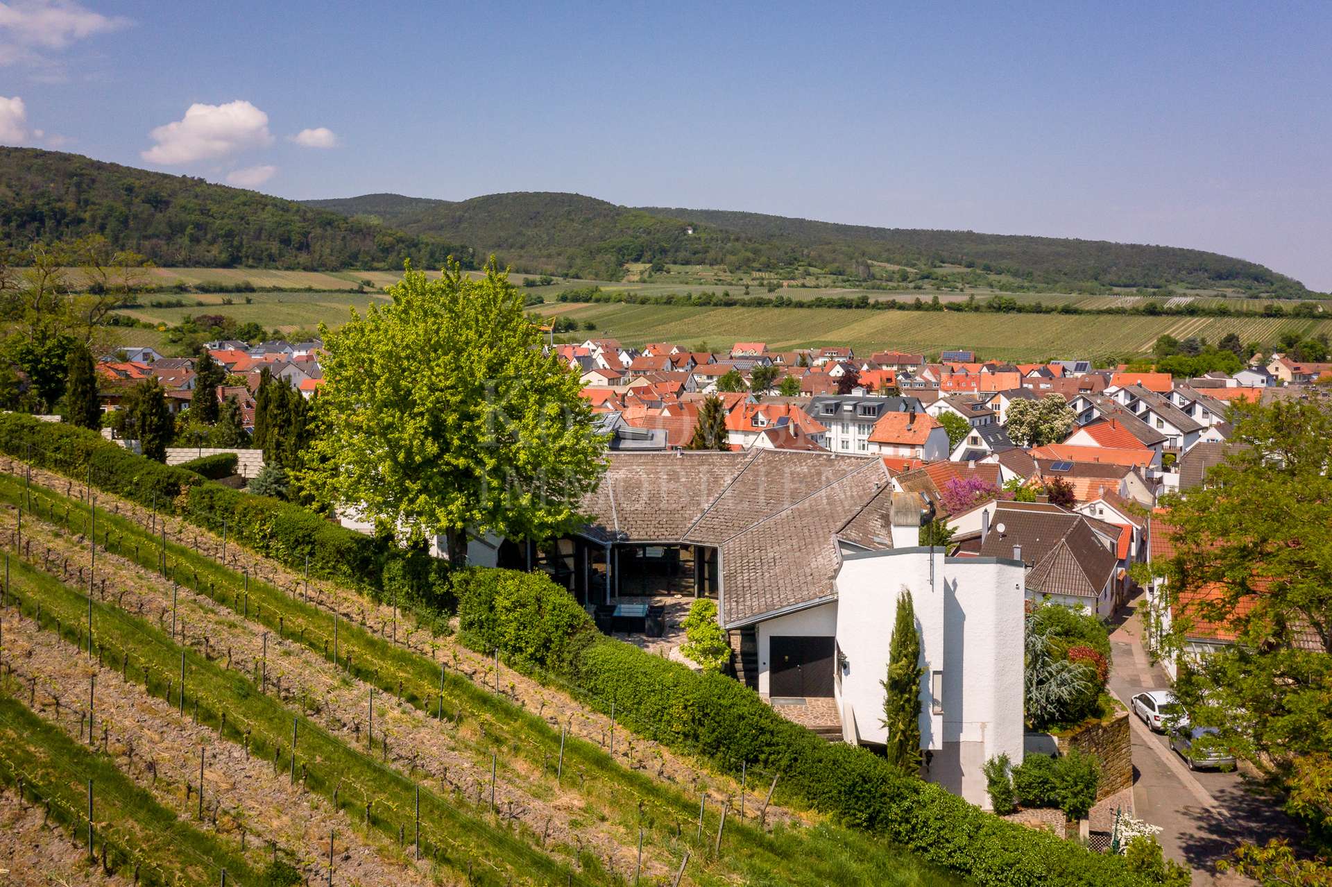 Blick vom Weinberg