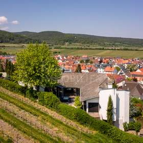 Blick vom Weinberg