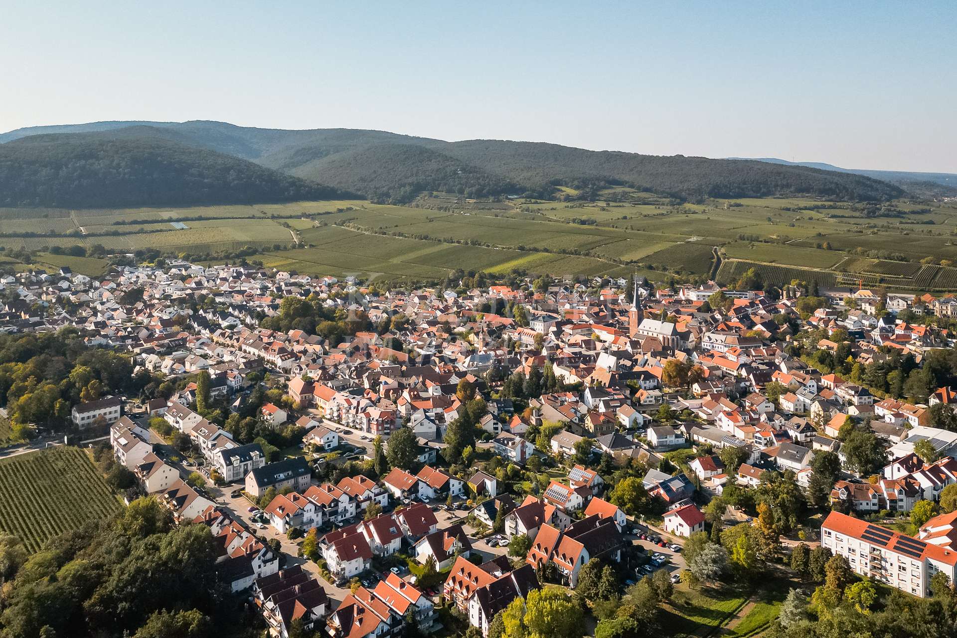 Deidesheim