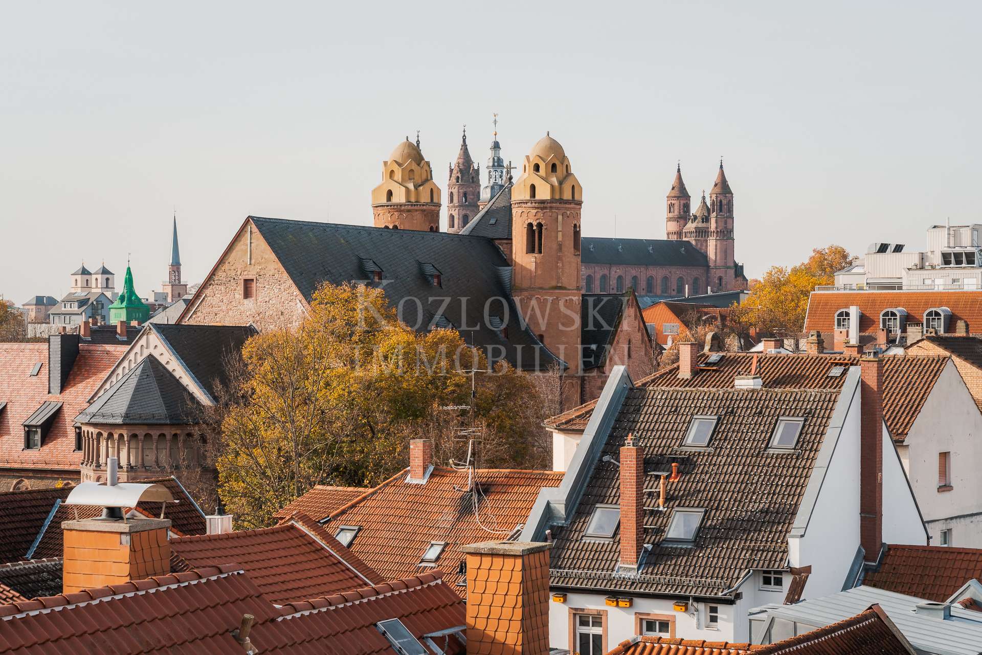 Blick auf Wormser Dom 