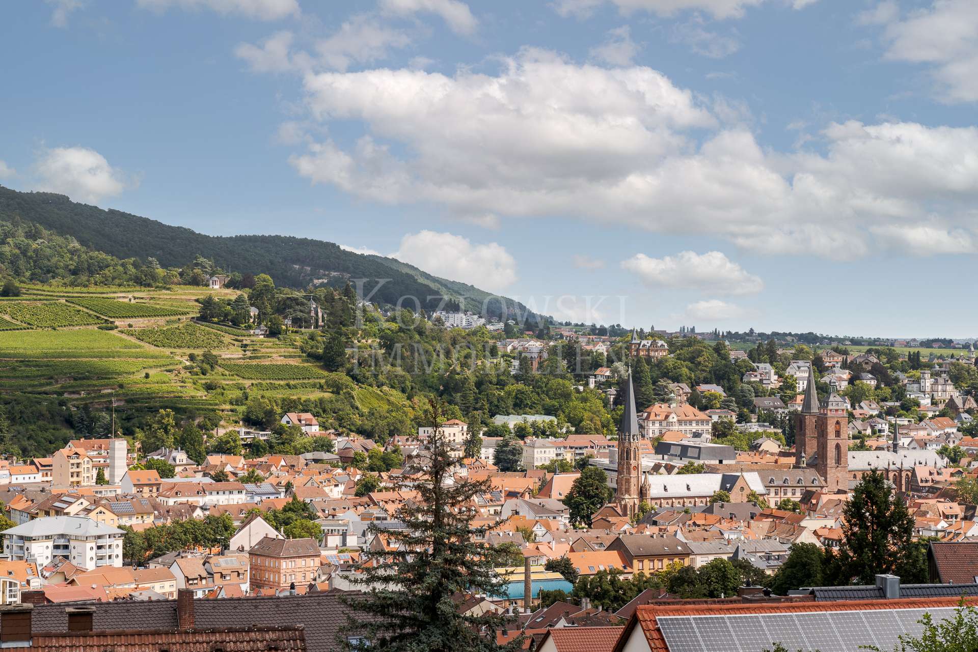 Blick auf Neustadt