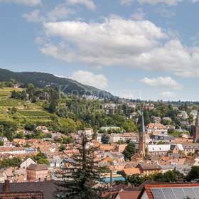 Blick auf Neustadt