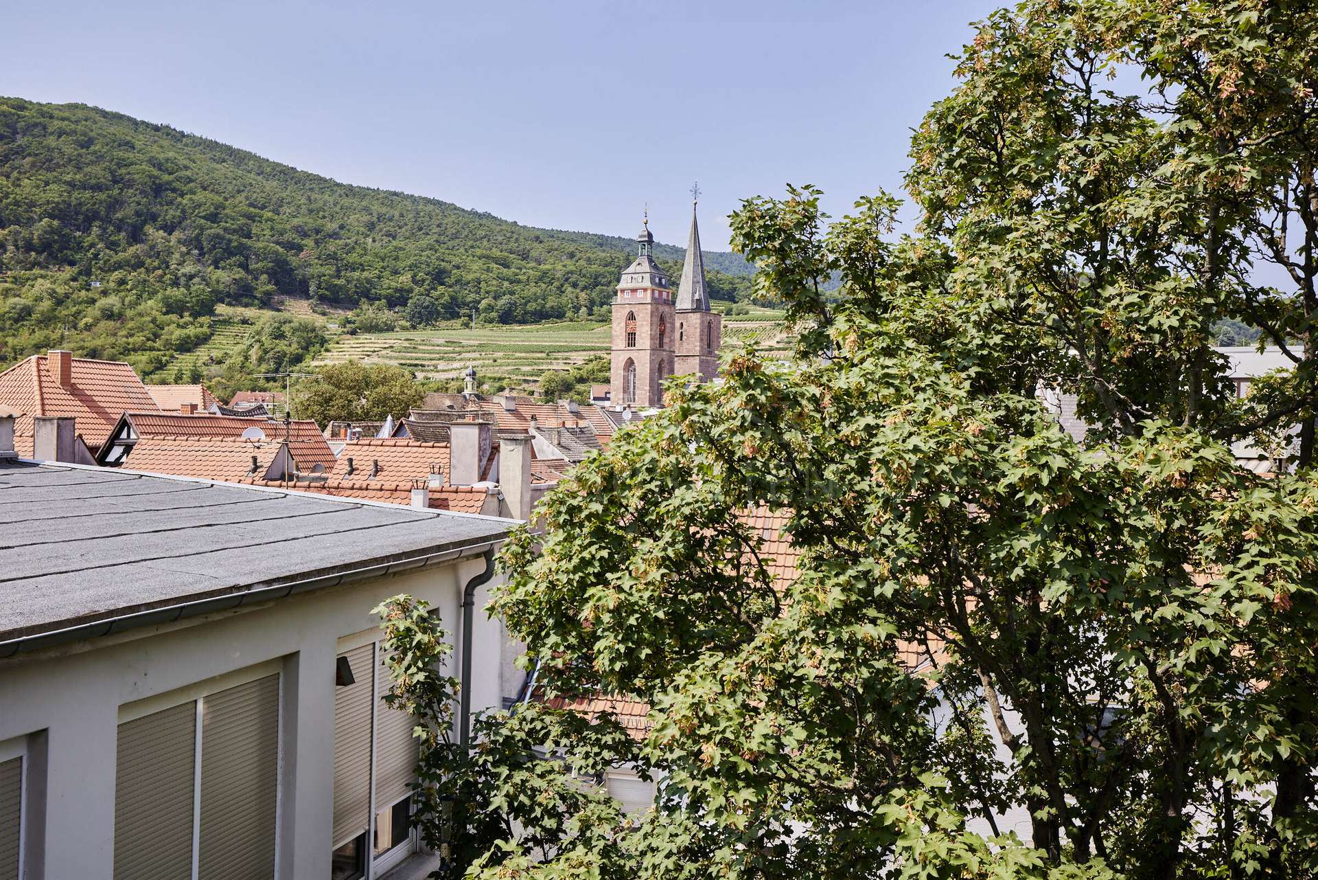 Ausblick