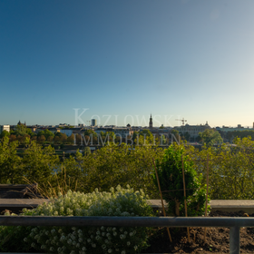 Panoramablick über die Skyline Mannheims