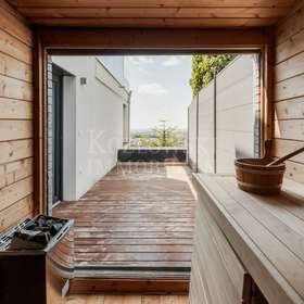 Zugang Terrasse und Sauna