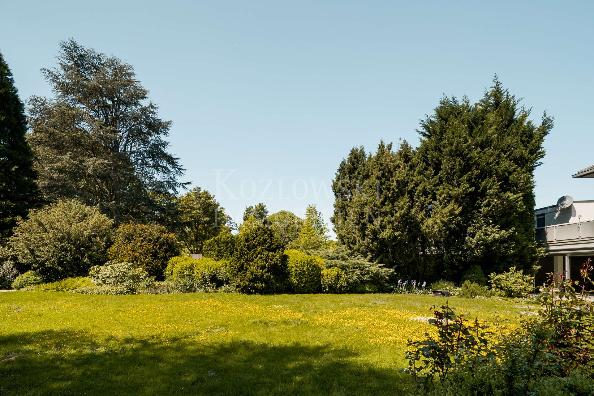 alter Baumbestand