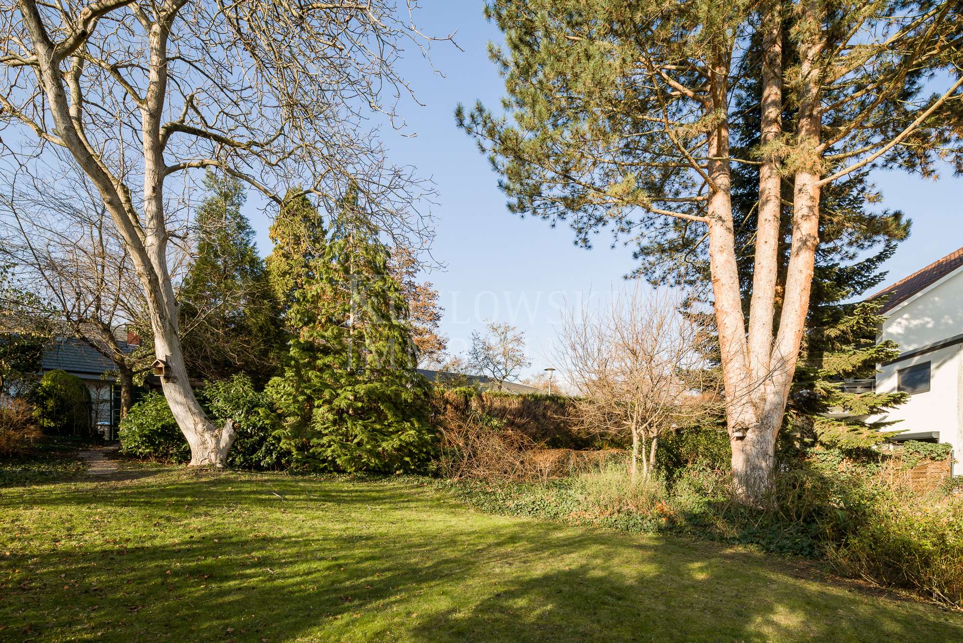 Traumgarten