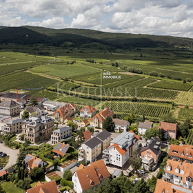 An der Weinstraße