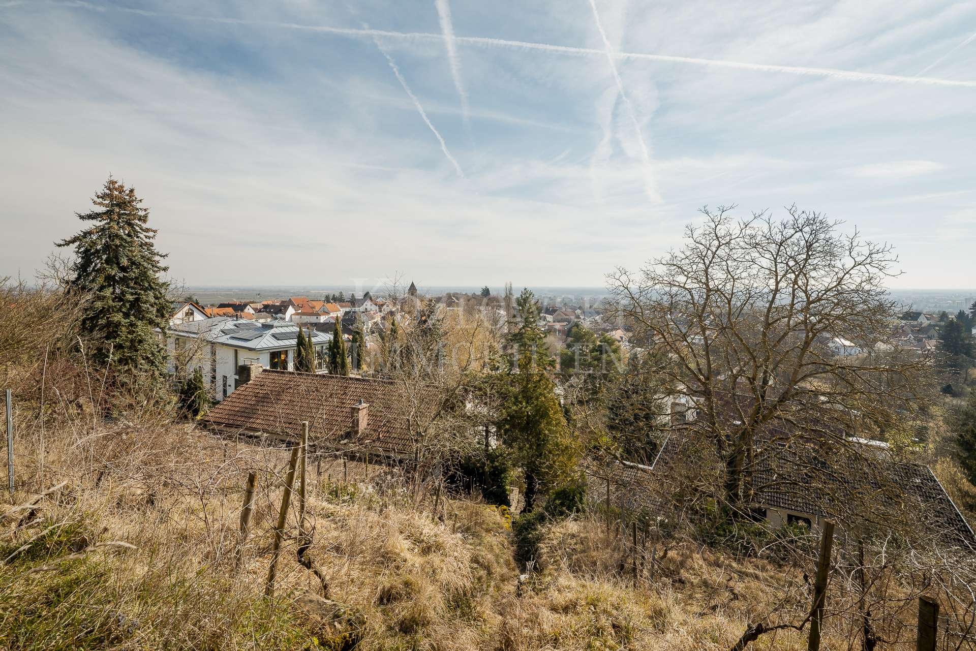 Panoramablick