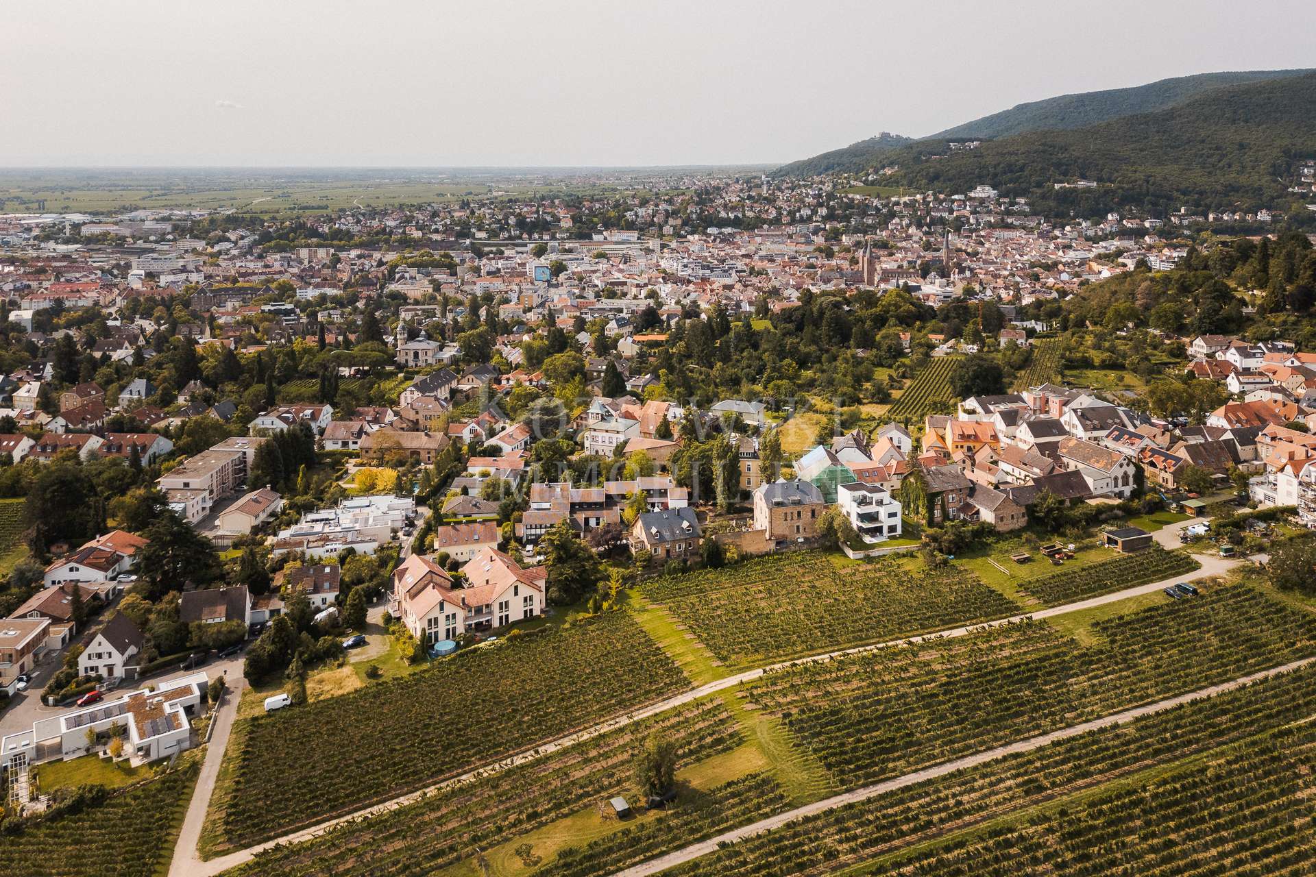 Neustadt-Haardt