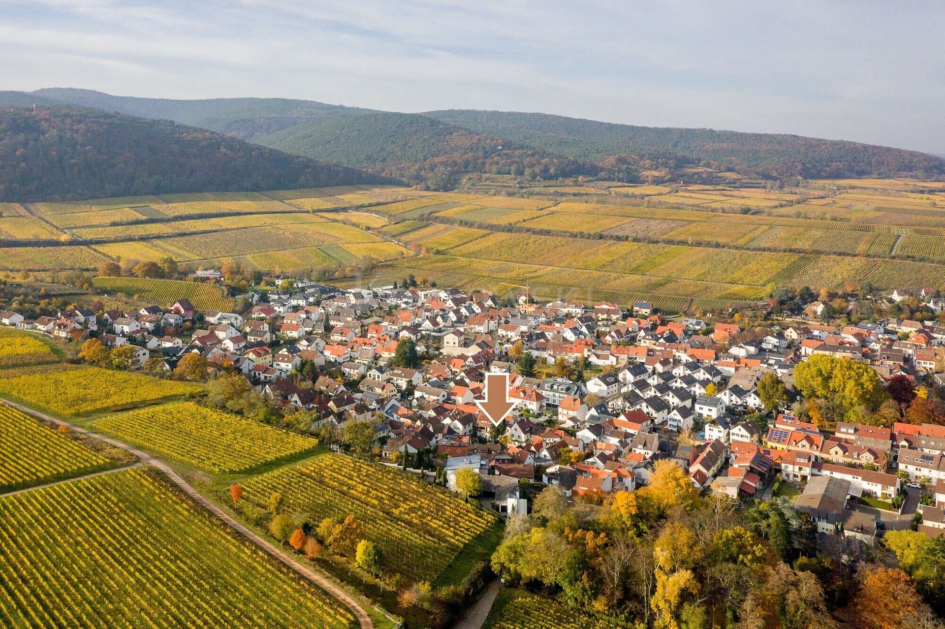 Toplage in Deidesheim