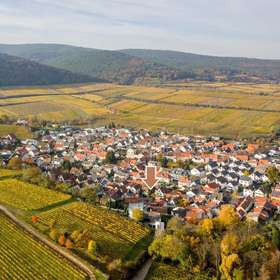 Toplage in Deidesheim