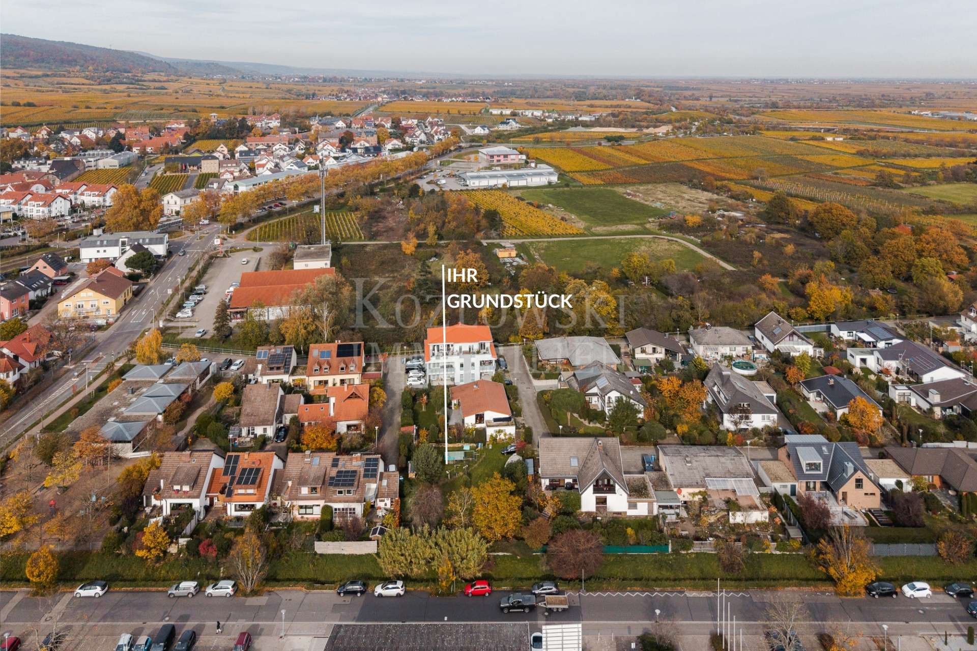 Baugrundstück in Deidesheim