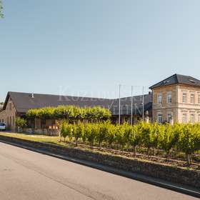 Weingut - Straßenansicht