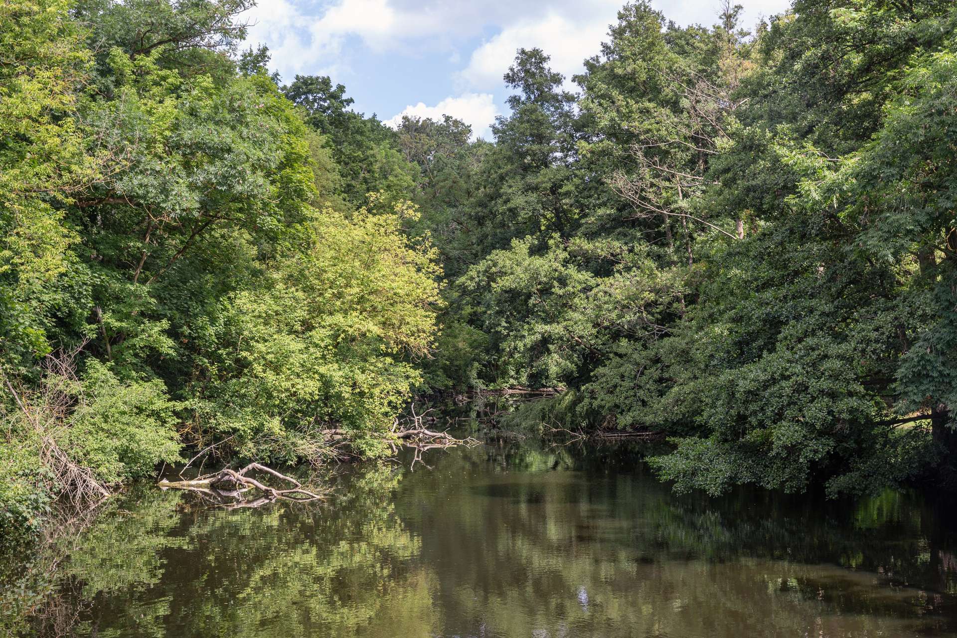 Natur um die Ecke
