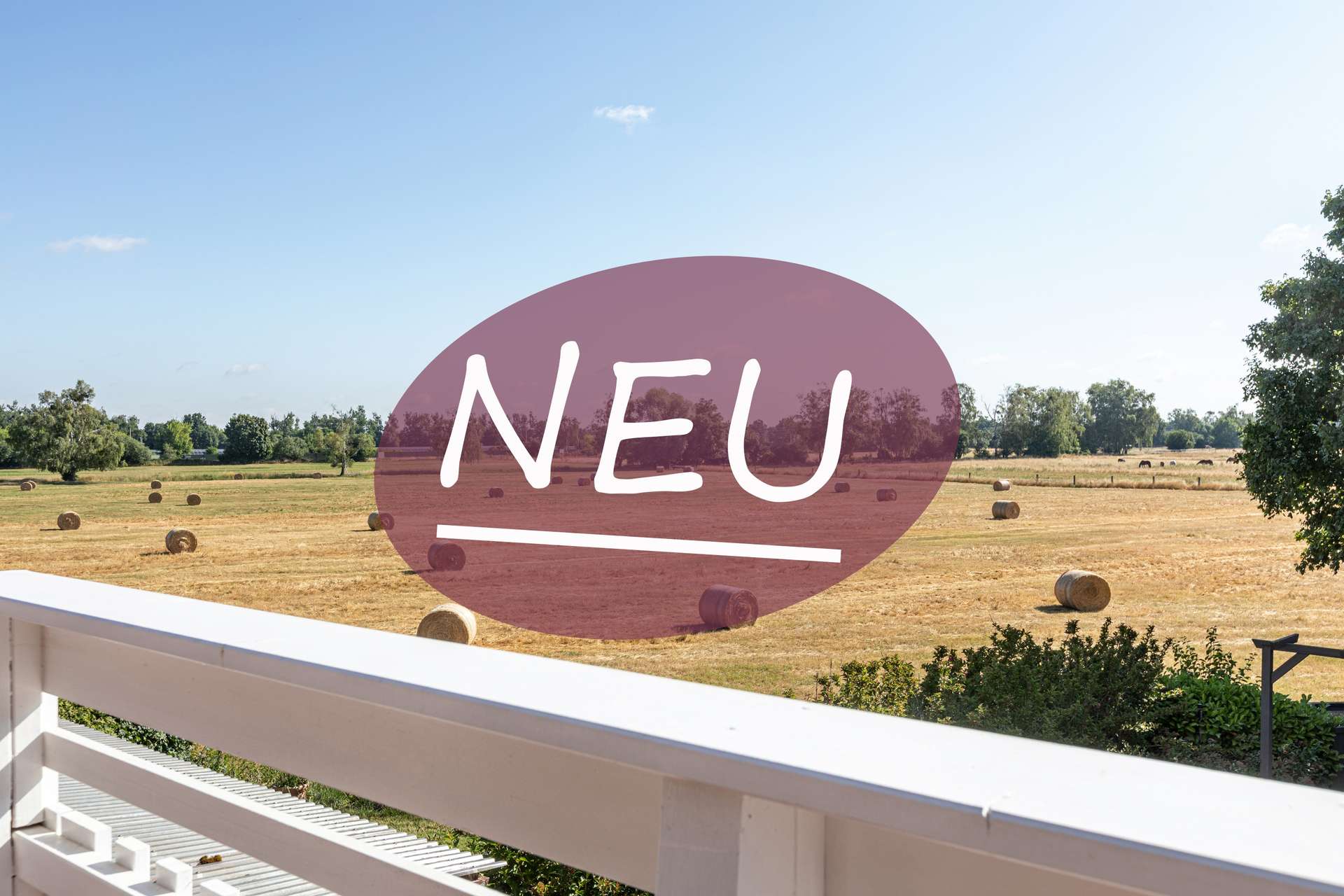 Real Estate Title Image Background
