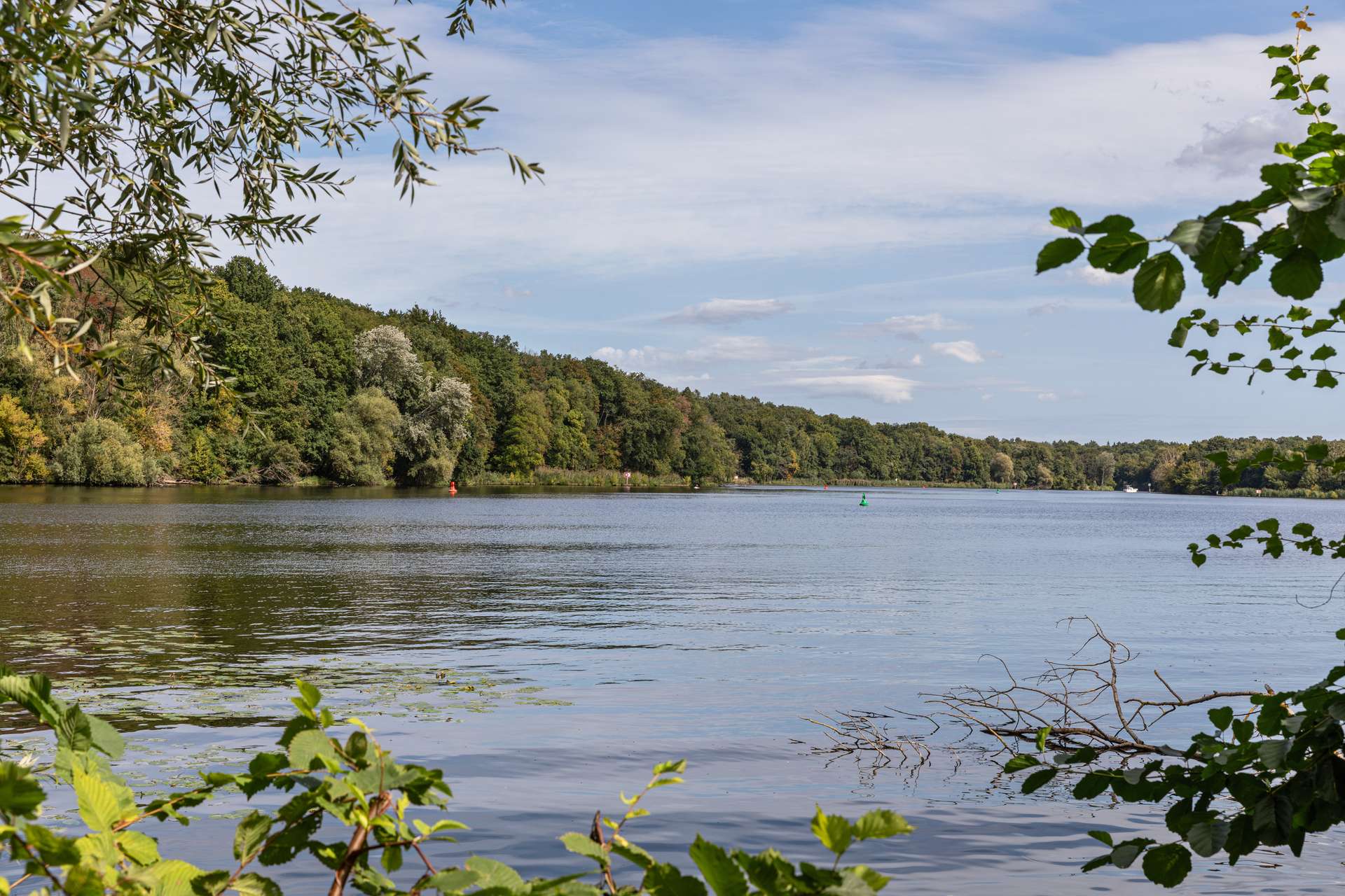 Griebnitzsee, Blick auf andere Uferseite