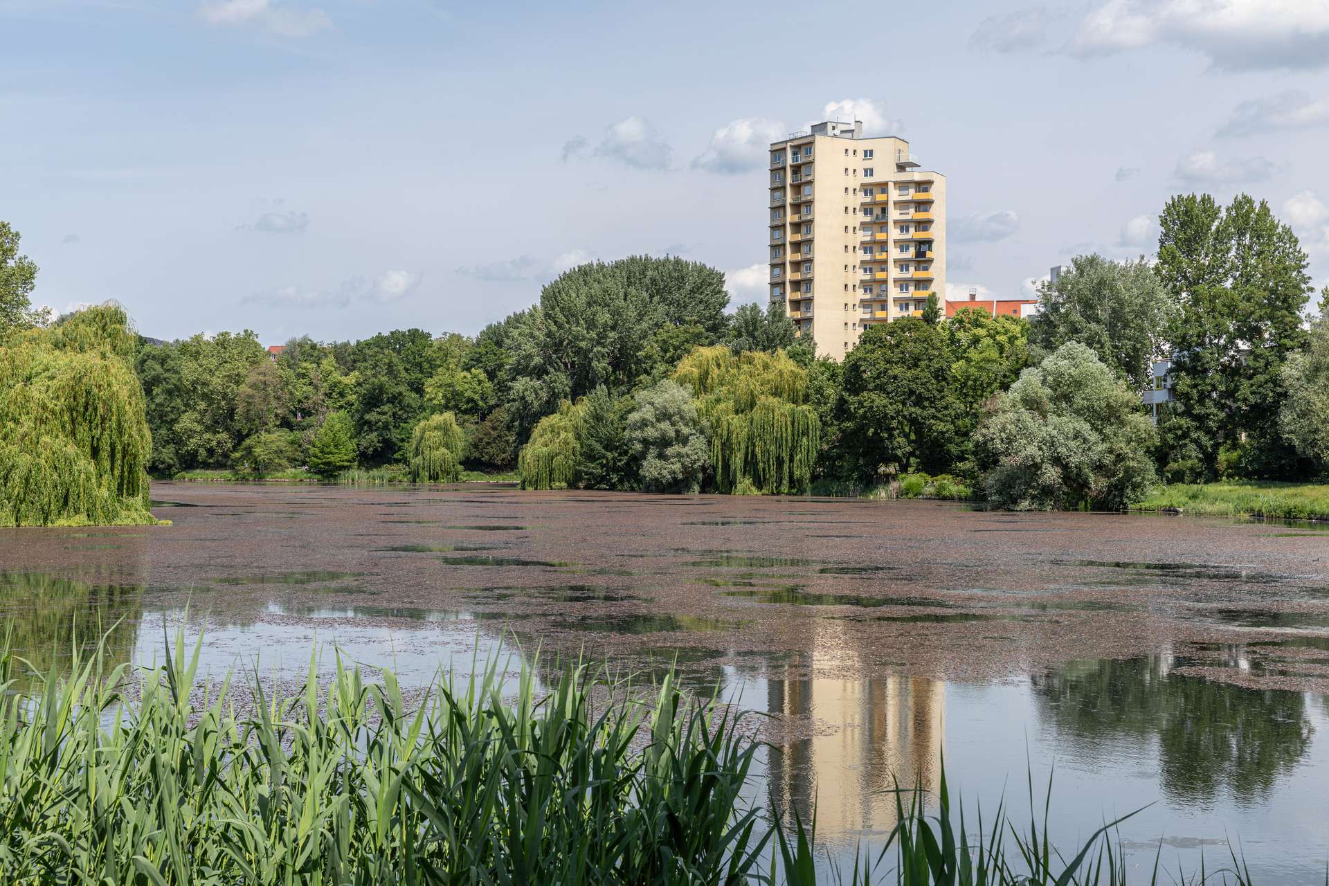 Lietzensee