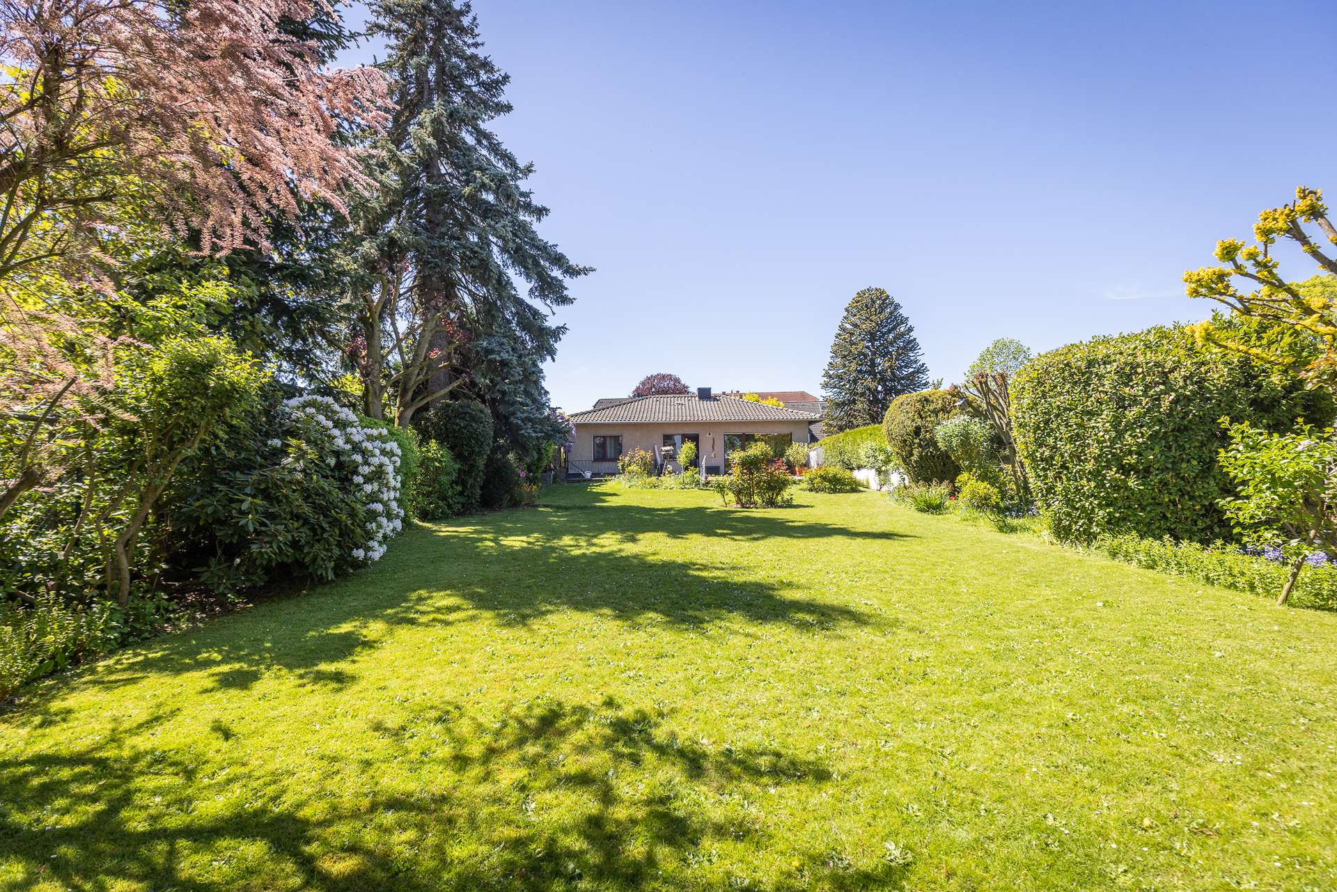 Bungalow mit Weitblick ins Grüne – ruhiges Wohnen auf über 1.000 m² Grundstück – Bild 3