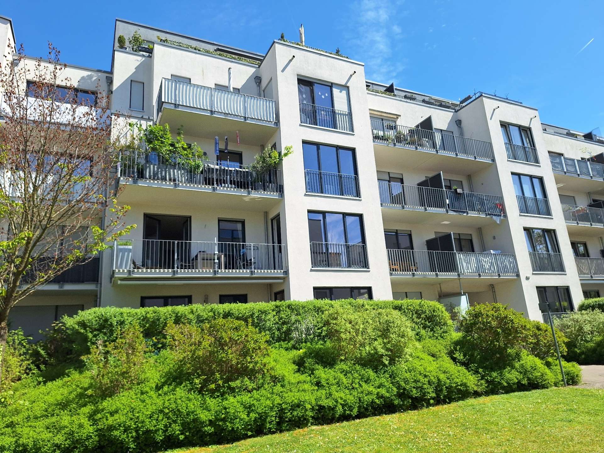 Bonner Str. in Marienburg: Zweizimmer-Komfortwohnung mit Südwestbalkon – Bild 10