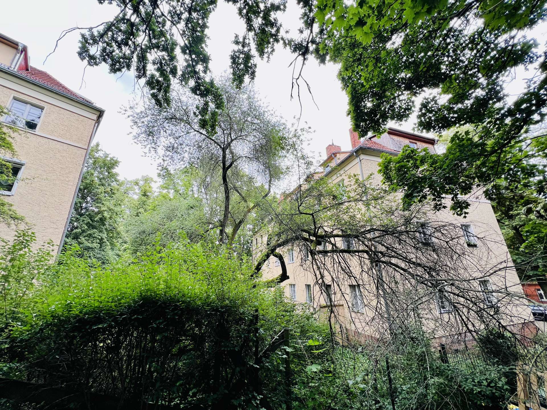 Kleine feine Wohnung in Lankwitz – Berlin