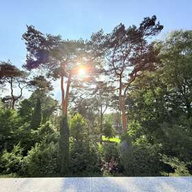 Bild 20