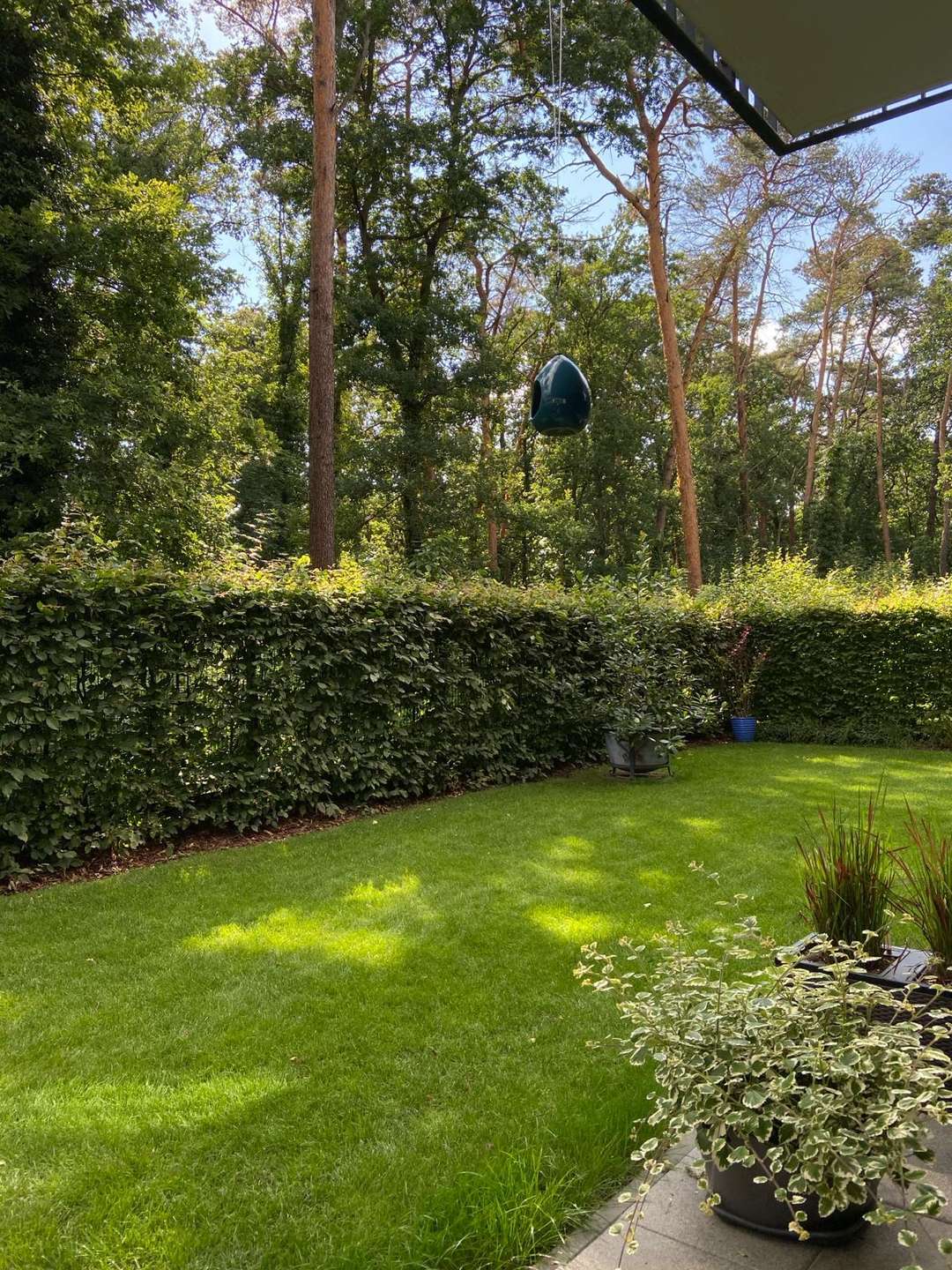 Grüne Oase in Dahlem – Berlin