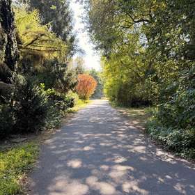 Bild 20