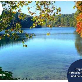Bild 15