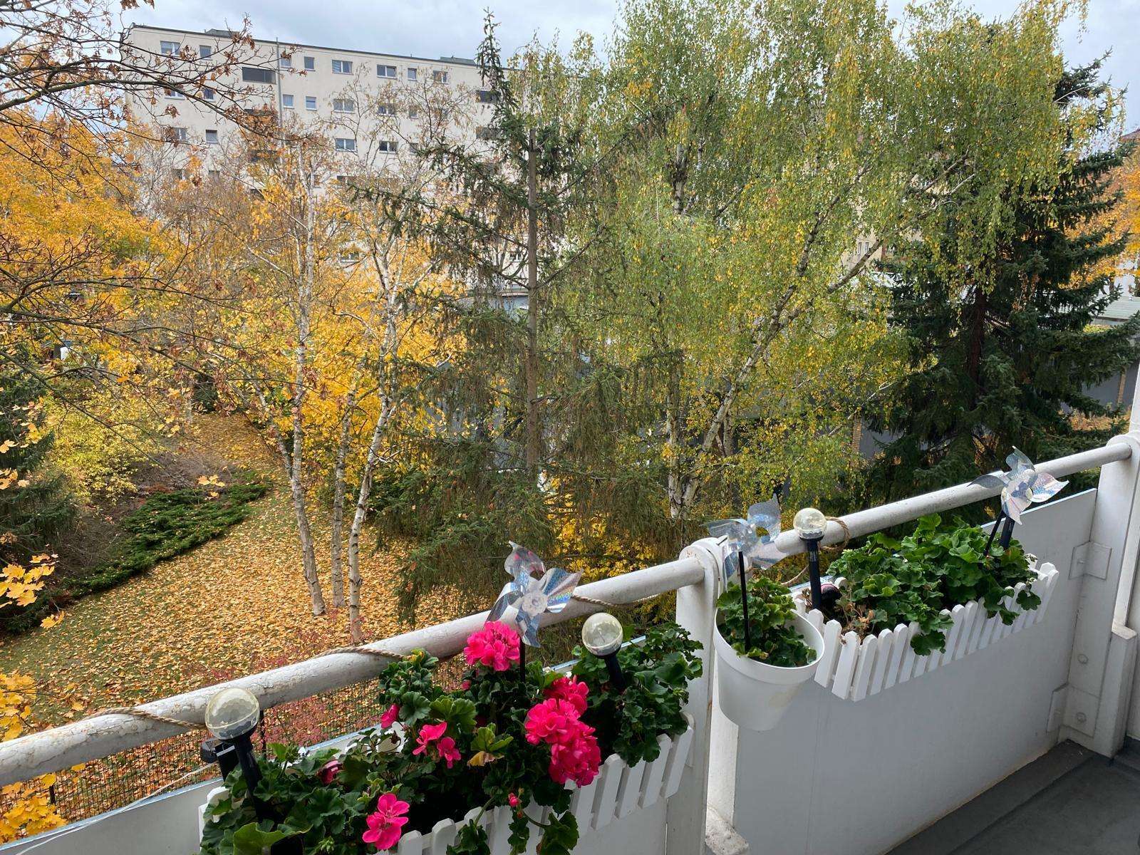 Zentrale & ruhige Lage, TOP! geschnittene 3,5 Zimmer Wohnung – Berlin