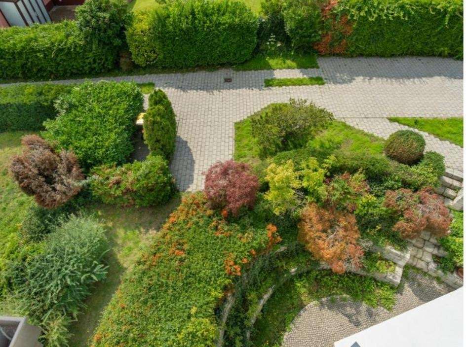 Haus im Grunewald für 2 Familien – Berlin