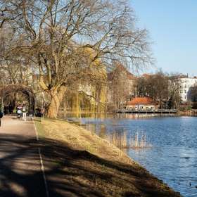 Bild 15