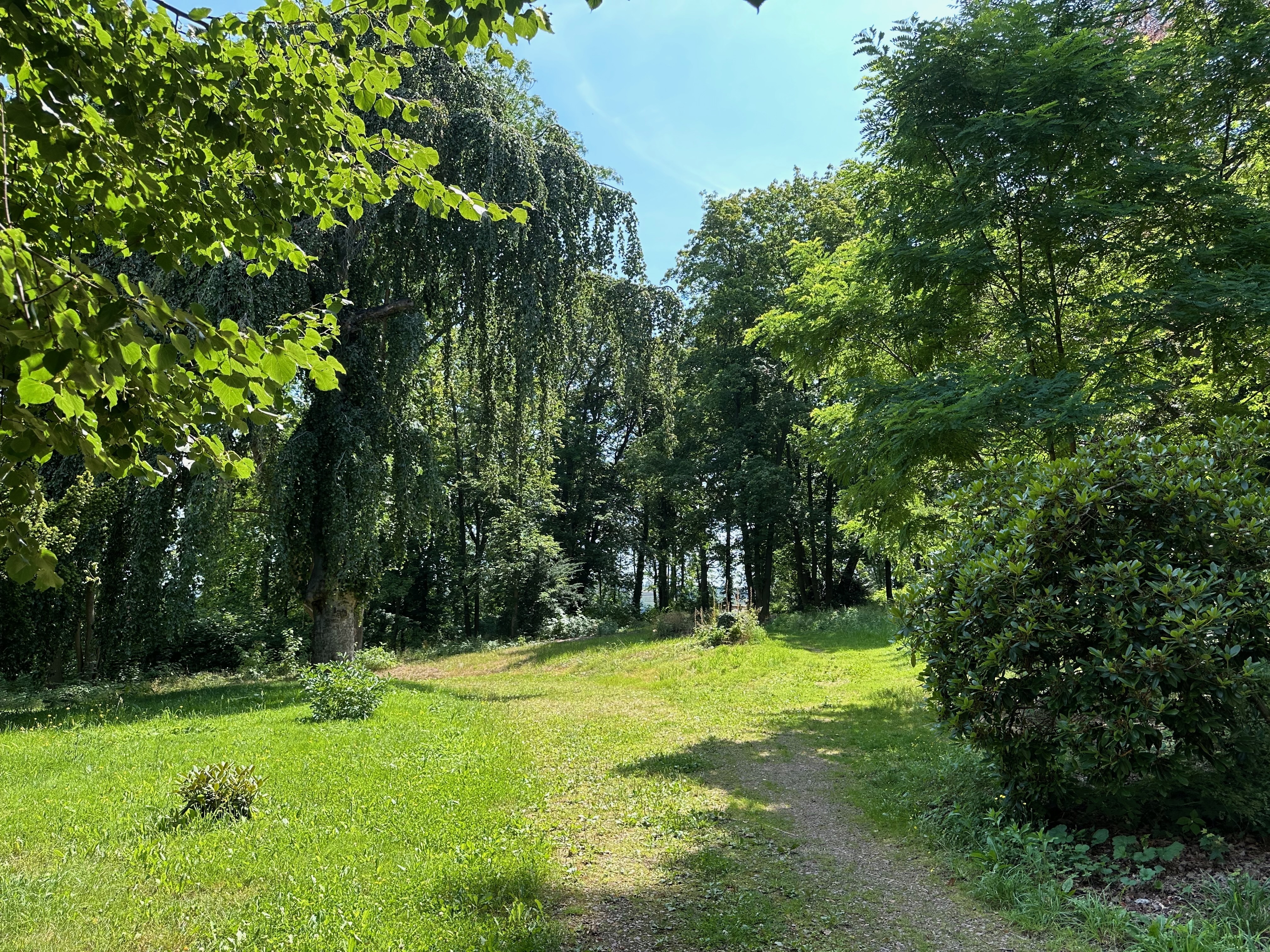 Altenpflege Ensemble mit Landsitz – Meißen