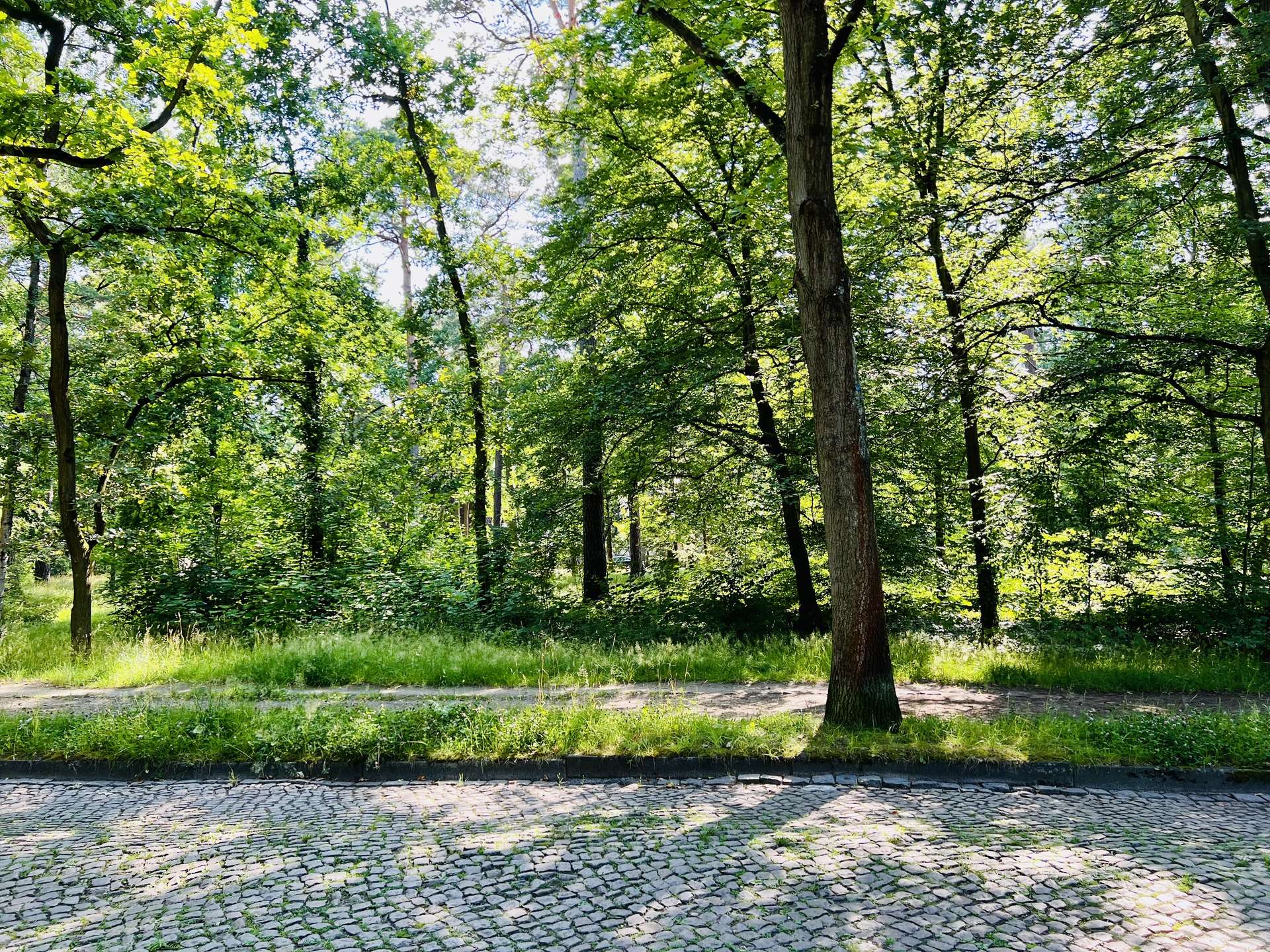 Dahlem - Messelpark bezugsfreie Wohnung – Berlin