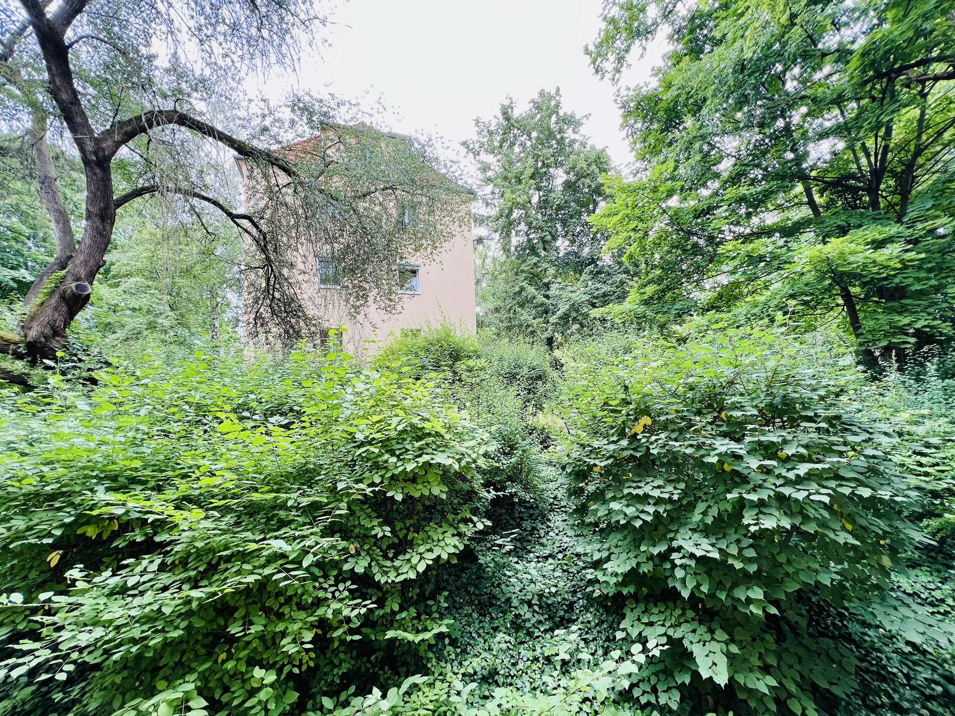 Kleine feine Wohnung in Lankwitz – Berlin