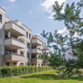 Bild 19