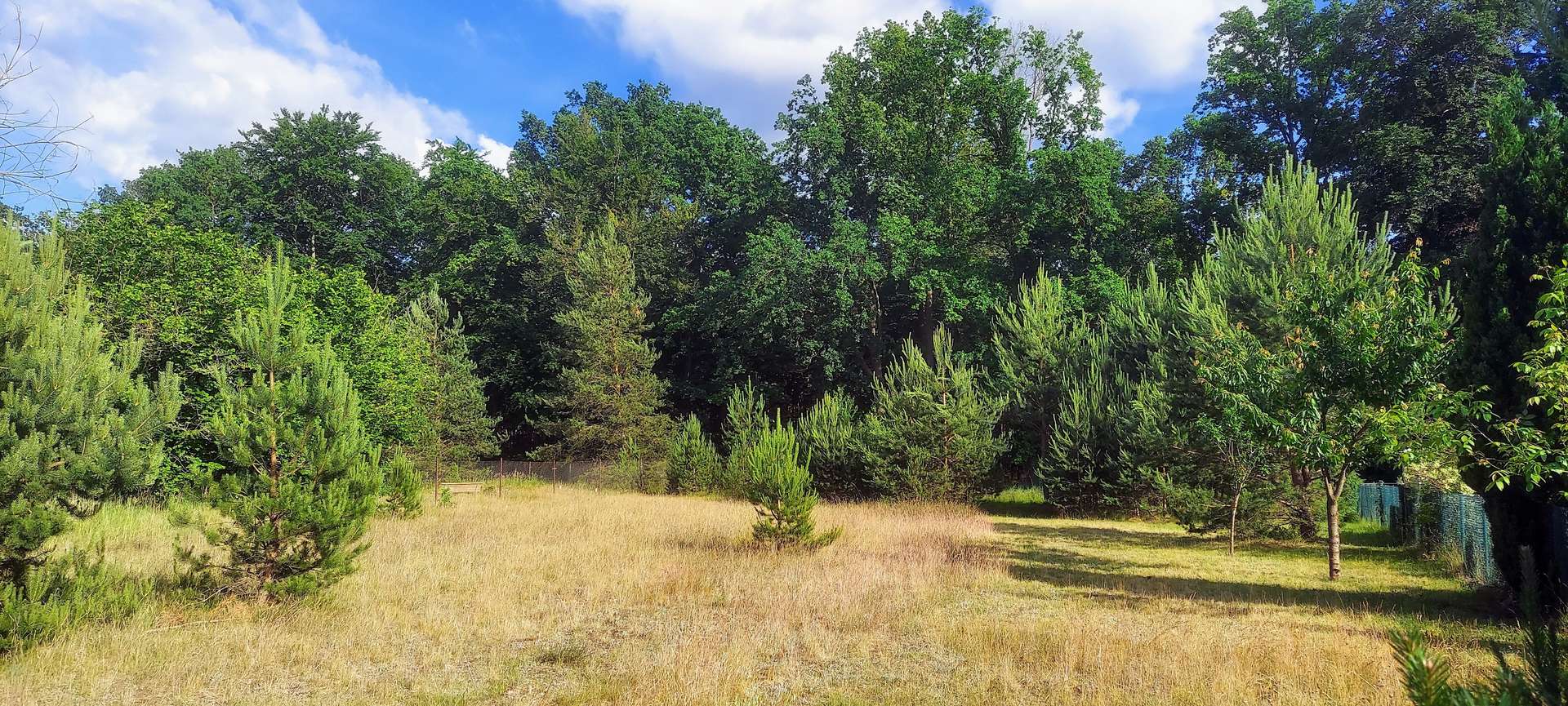 Idyllisches Baugrundstück am Naturschutzgebiet – Liebenwalde