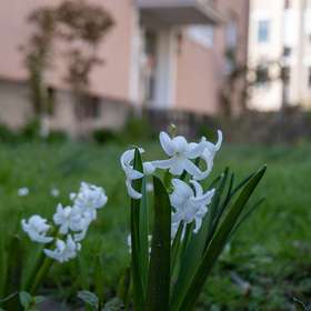 Bild 17
