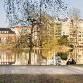 Bild 14